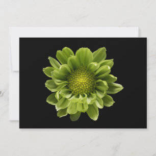 Flowers Green Chrysanthemum Thank You Card