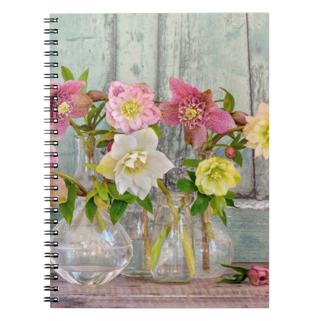 Flowers | Hellebores in Vases Notebook (Front)