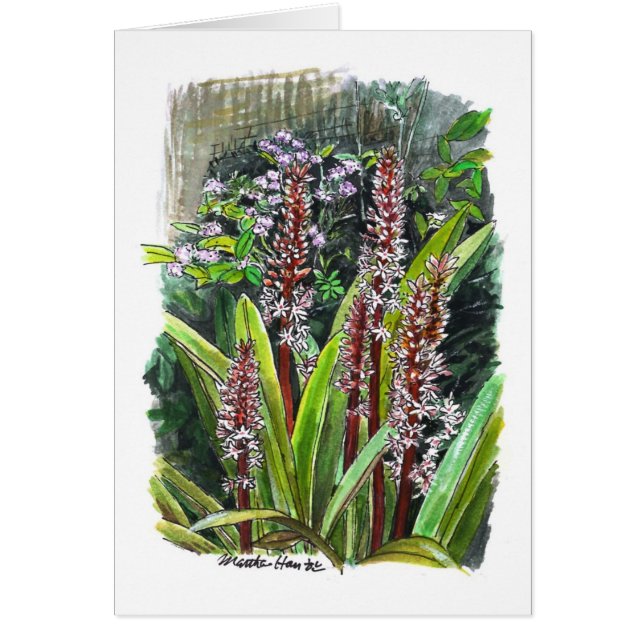 Flowers in a garden (Front)