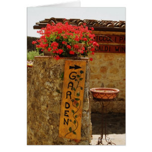 Flowers in a garden, Monteriggioni, Siena