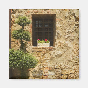 Flowers in a window box on a window sill, magnet