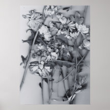 Flowers in Black and White
