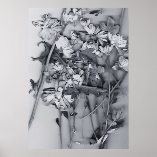 Flowers in Black and White Poster (Front)