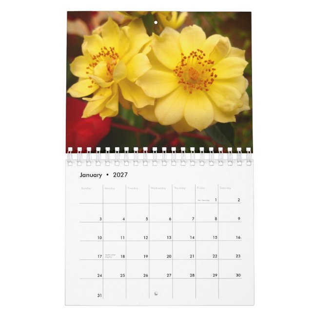 Flowers in Bloom 2012 Calendar (Jan 2027)