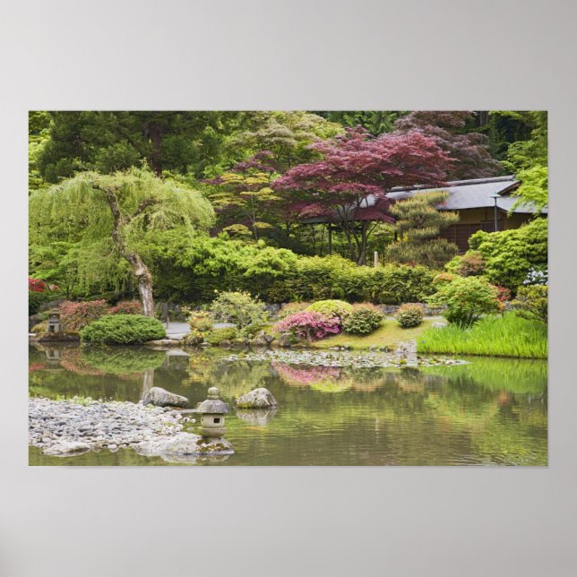 Flowers in bloom at Japanese Garden, Poster (Front)