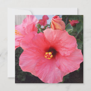 Flowers in Chania Crete,Greece Holiday Card