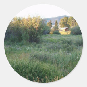 flowers in Colorado sticker