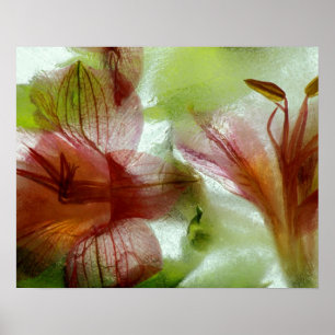 Flowers in ice poster
