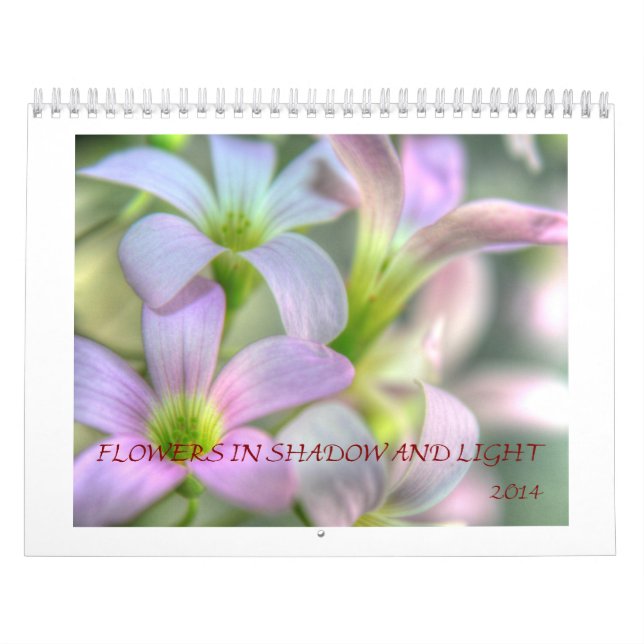 Flowers in Shadows and Light Calendar (Cover)