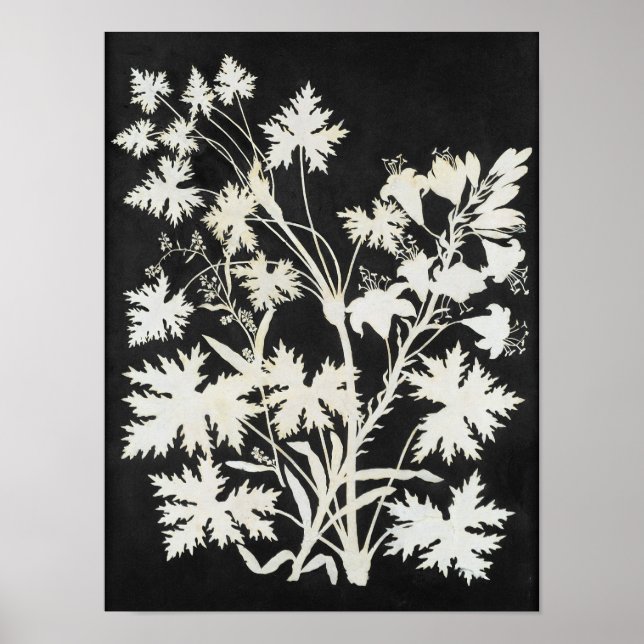 Flowers in Silhouette Poster (Front)