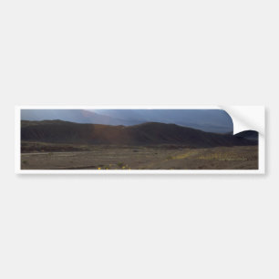 Flowers in the Death Valley Bumper Sticker