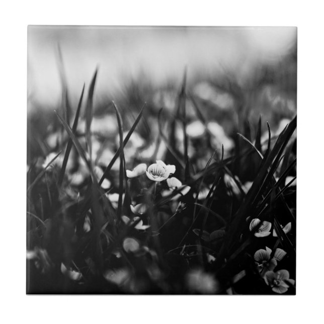 Flowers in the field in spring ceramic tile (Front)
