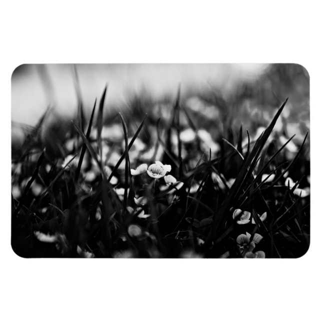 Flowers in the field in spring magnet (Horizontal)