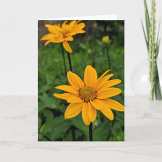 Flowers in the garden card