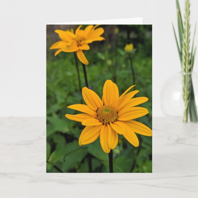 Flowers in the garden card (Front)