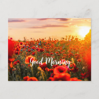 Flowers in The Morning Postcard