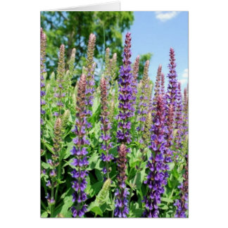 Flowers in the Sky