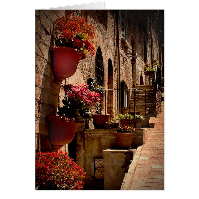Flowers in the Street Assisi Italty (Front)