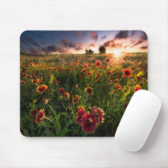 Flowers | Indian Blanket Wildflower Texas Mouse Pad (With Mouse)