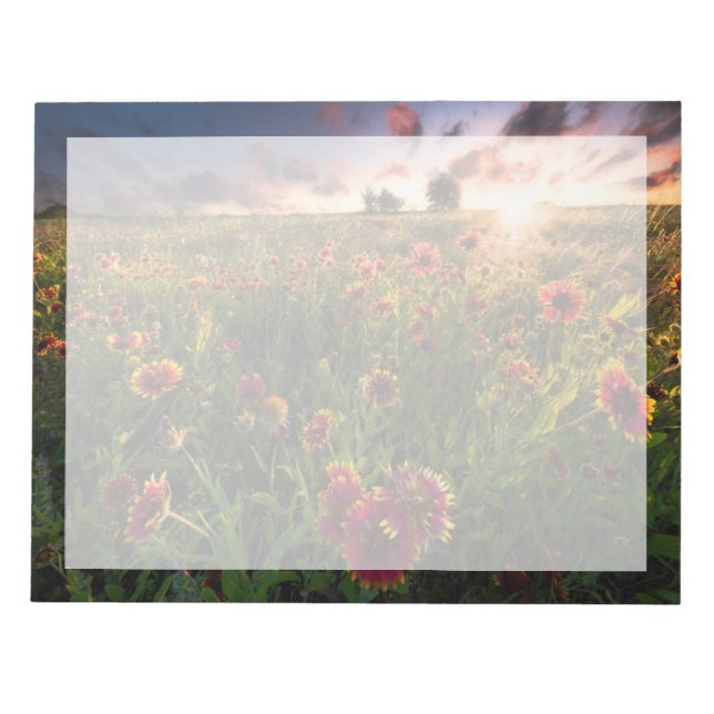 Flowers | Indian Blanket Wildflower Texas Notepad (Front)
