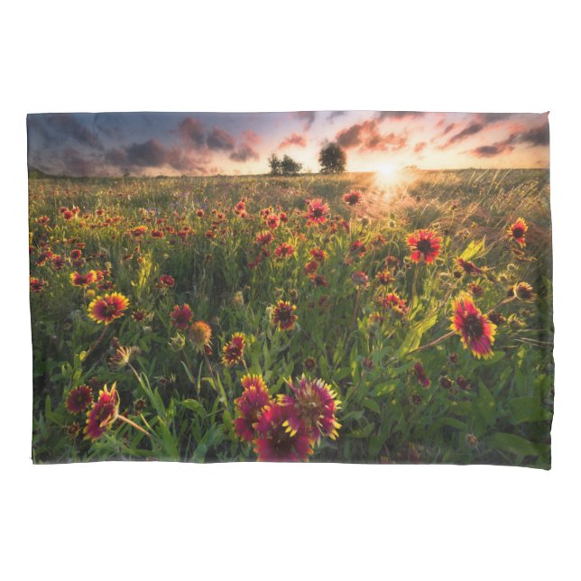 Flowers | Indian Blanket Wildflower Texas Pillowcase (Front)