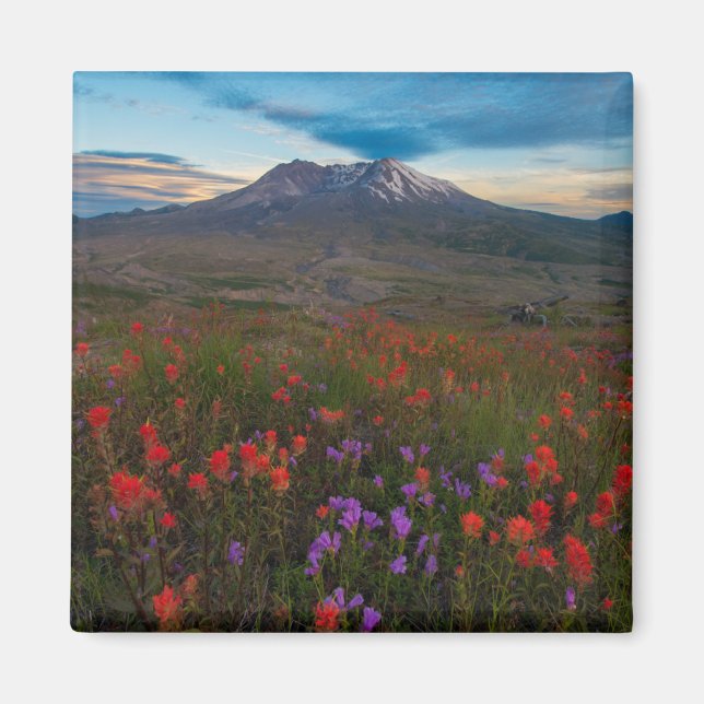 Flowers | Indian Paintbrush & Penstemon Magnet (Front)