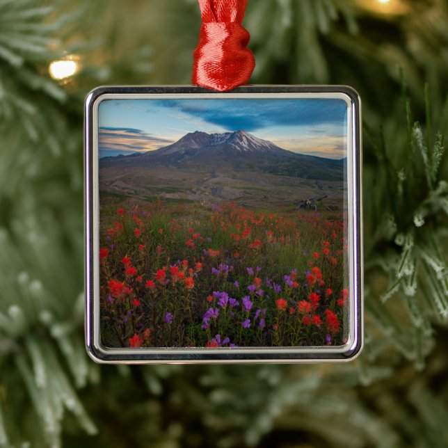Flowers | Indian Paintbrush & Penstemon Metal Ornament (Tree)