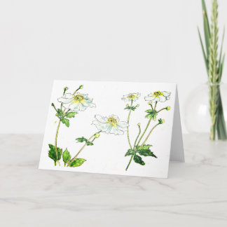Flowers - Japanese Anenomes Card