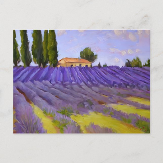 Flowers Lavender fields Postcard (Front)
