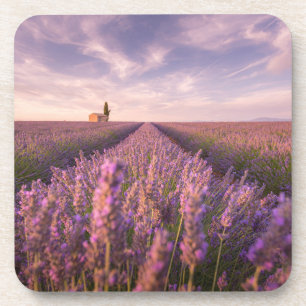 Flowers Lavender Southern France Coaster