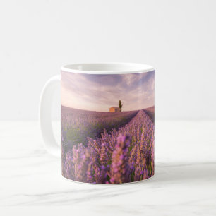 Flowers   Lavender Southern France Coffee Mug