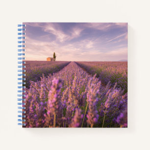 Flowers Lavender Southern France Notebook
