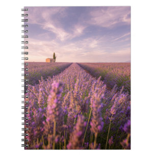 Flowers Lavender Southern France Notebook