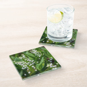 Flowers   Lily of the Valley Sweden Glass Coaster