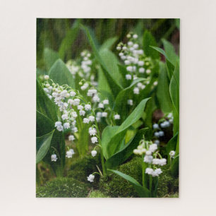 Flowers   Lily of the Valley Sweden Jigsaw Puzzle