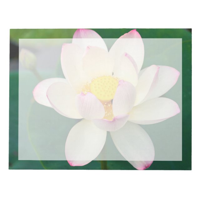 Flowers | Lotus Water Flower Notepad (Front)