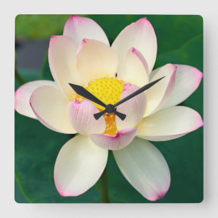 Flowers Lotus Water Flower Square Wall Clock