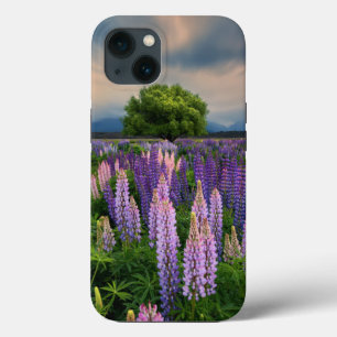 Flowers   Lupine Field in New Zealand iPhone 13 Case