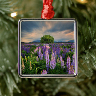 Flowers Lupine Field in New Zealand Metal Ornament
