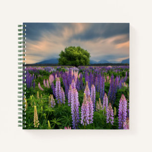Flowers Lupine Field in New Zealand Notebook