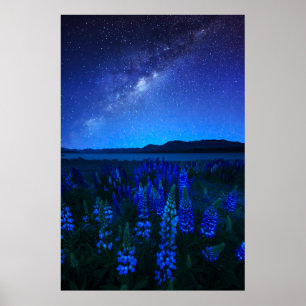 Flowers Lupines Blooming at Night Lake Tekapo Poster