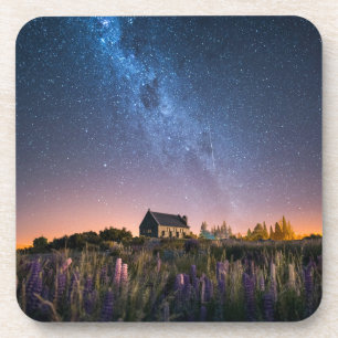 Flowers Lupines Blooming Lake Tekapo New Zealand Coaster