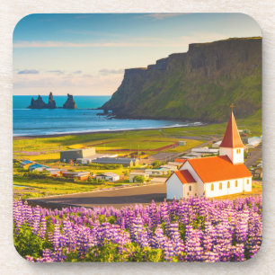 Flowers Lupines in Bloom Southern Iceland Coaster