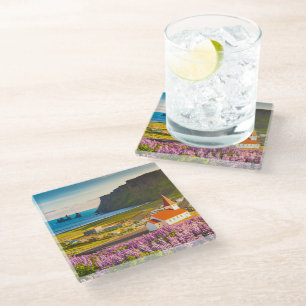 Flowers Lupines in Bloom Southern Iceland Glass Coaster