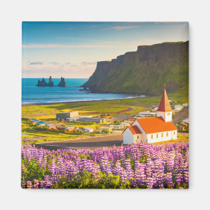 Flowers Lupines in Bloom Southern Iceland Magnet