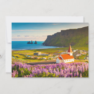 Flowers   Lupines in Bloom Southern Iceland Thank You Card