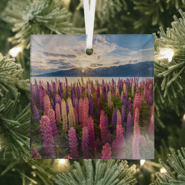 Flowers | Lupines New Zealand Glass Tree Decoration (Insitu)