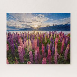 Flowers Lupines New Zealand Jigsaw Puzzle