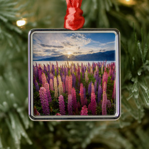 Flowers Lupines New Zealand Metal Ornament