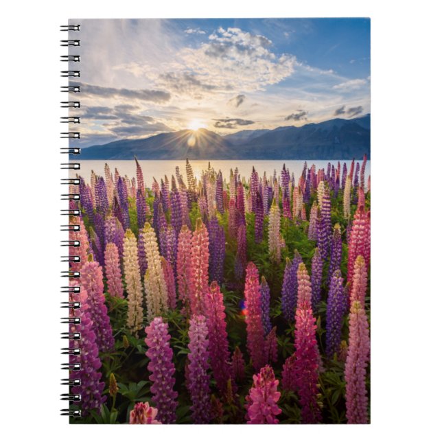 Flowers | Lupines New Zealand Notebook (Front)